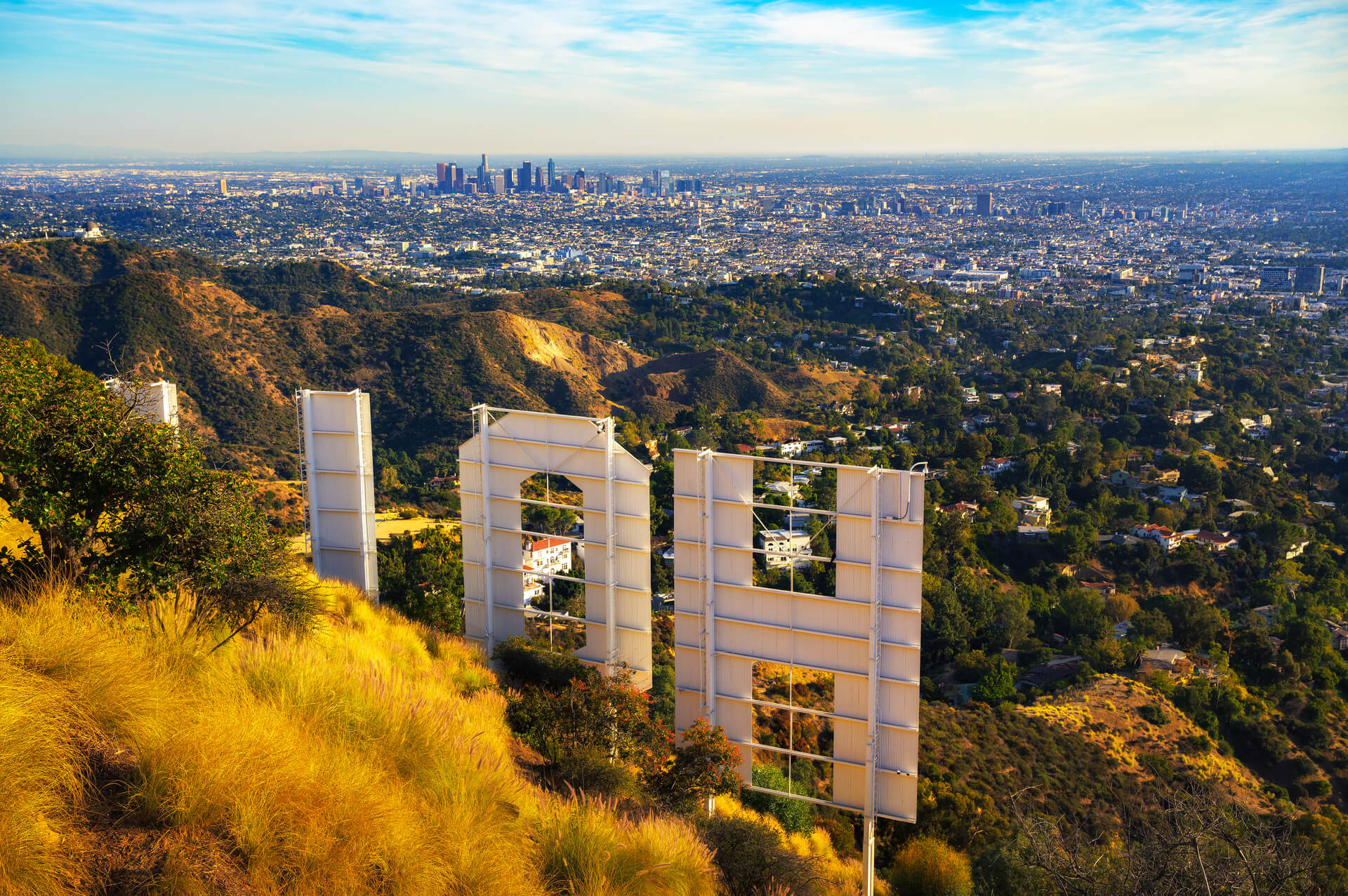 Hollywood Hills
